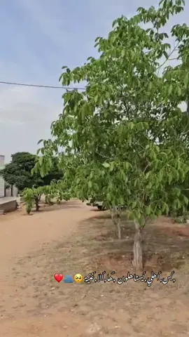 الديـرة🫶🏻❤️#مشاءالله_تبارك_الله_اذكروالله #العوسجلي_منبج_الرقة_نهرالفرات #العوسجلي 