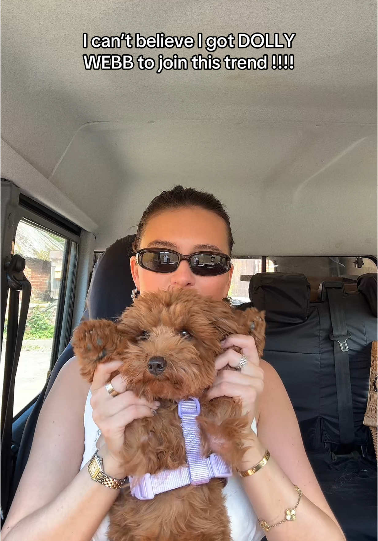 maybe she’ll join me on stage !!!! #fyp #newmusic #dogs #arena 