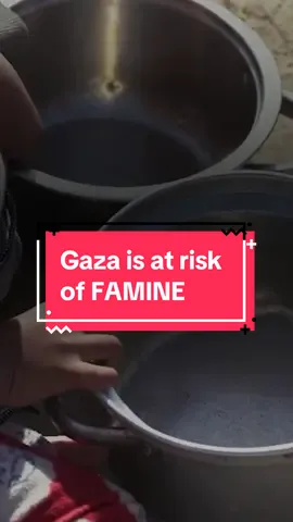 ‼️ The entire #Gaza strip is at risk of FAMINE.  The latest food security analysis is a stark warning: we are in a race against time to prevent a catastrophe.  Behind the numbers are families — mothers desperately searching for their next meal.