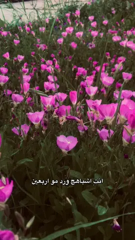اربعينچ ورد.🥲🫂#explor #fypシ゚viral #صلاح_الدين #الضلوعيه 
