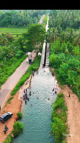 මුරුතවෙල ගිනිපෙට්ටි පාලම 🌝🍃 #muruthawela #muruthawelaginipettipalama #ginipettipalama #CapCut #fyp #flip #viral #drone #nature #dji 