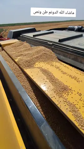 #الحافظ_الله♥️✨ #tc5070 #مشاهير_تيك_توك #حاصدات_اوروبا_نيوهولند #newholland #الشعب_الصيني_ماله_حل😂😂 #الشعب_الصيني_ماله_حل #العراق🇮🇶 #fypシ 