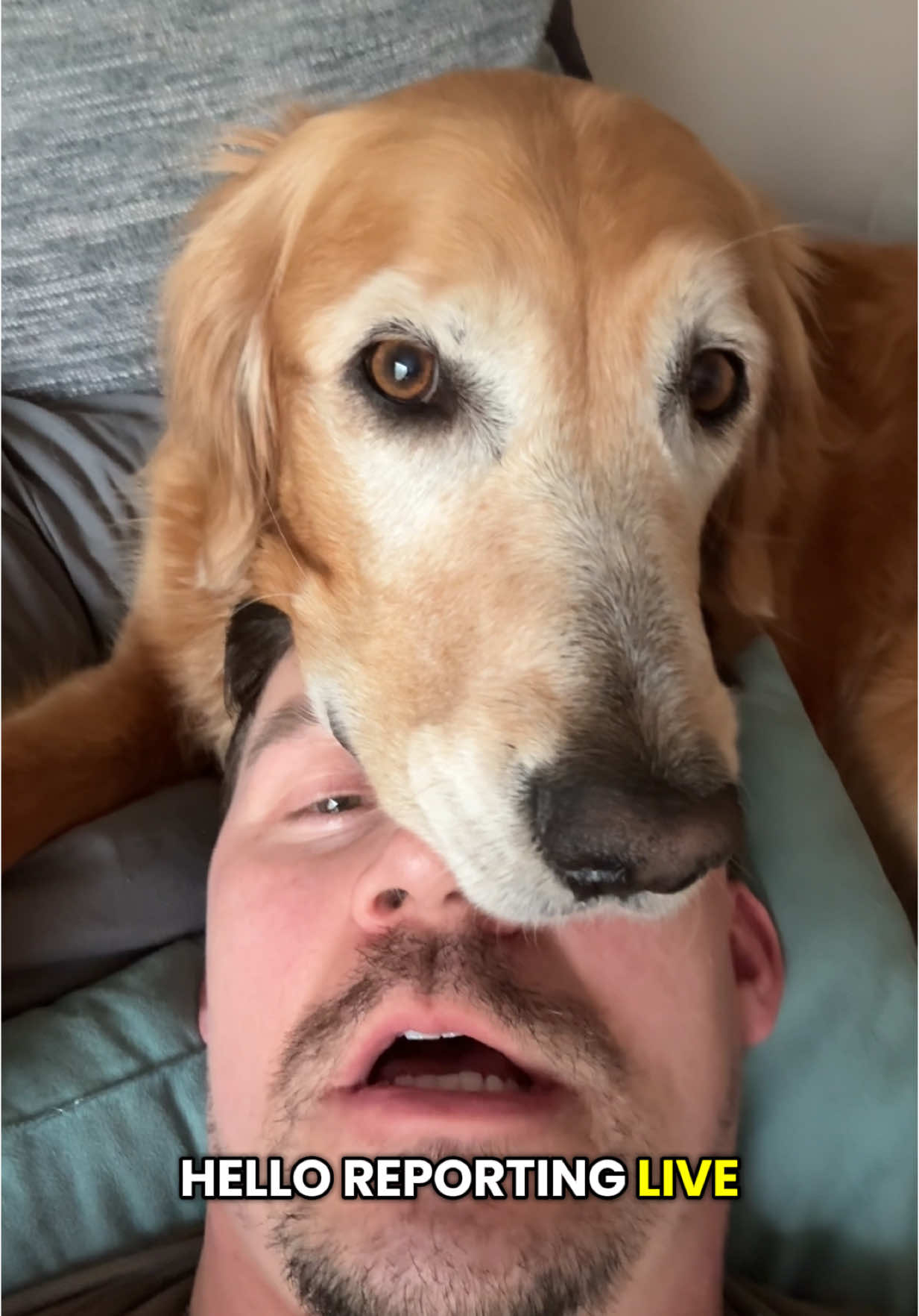 0% chance of stomps in the next hour 