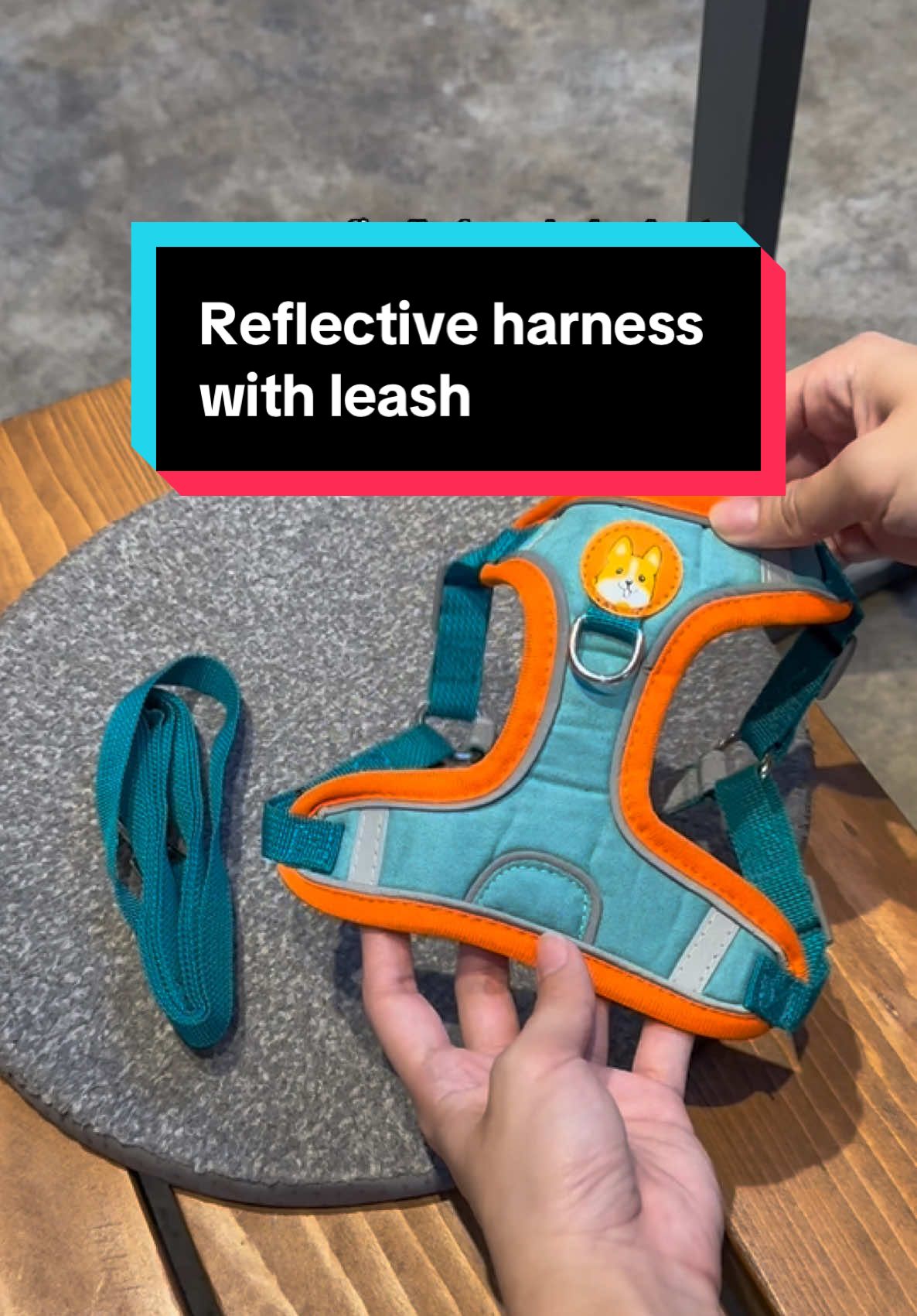 super mura and ganda ng quality, may reflective effect pa para pag magwalk kayo sa gabi kitang kita ang mga furbebe 🥰 #dogsoftiktok #shihtzu #dogharness #dogleash #dogharnessandleash #reflectiveharness #fyp