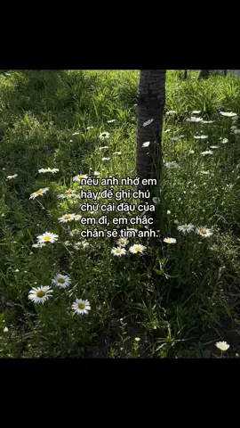 nhé anh 🥰 #maimi #xuhuong #xh 