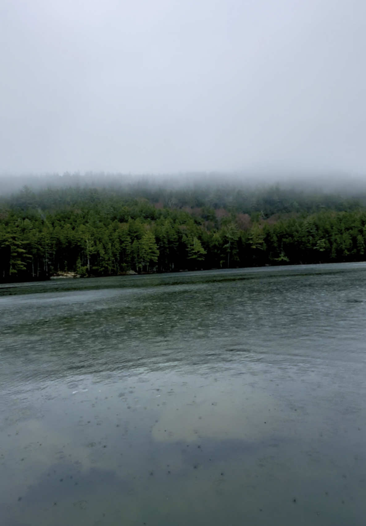 Wander into experiences that live in your bones forever 💚 #wander #maine #beanoutsider #207 #pond #enjoynature #rainyday #gohiking #vacationland #natureisbeautiful #bestday 
