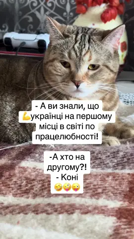 Згодні😜 #підпискавідукраїнців🇺🇦💙💛 #жарти #українськийтікток #приколи #смішно #гумор #українці 