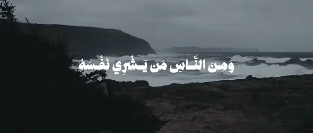 سبحان من وهب له هاذي الحنجره... #بندر_بليله #fyp #quran 