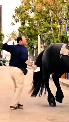 Ngựa đá có vẻ nhẹ hơn vợ đá 🧌 Hí hí hí ! #lukalong #vochong #mailongfamily 