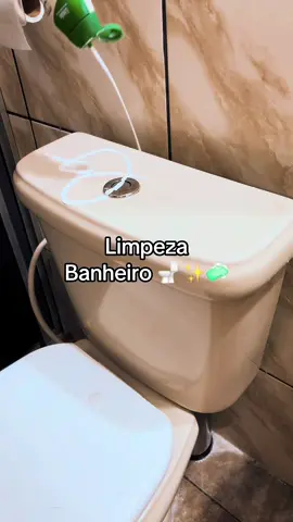 🚽✨🧼 #donadecasa #asmrlimpeza #organizaçaodecasa #asmrsounds #limpando