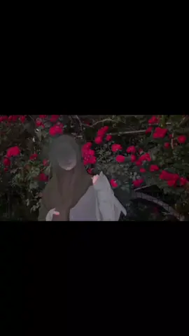 sekin borayabsan yodimdan o'chib, Uyquga berildim dardlardan qochib, Qancha uhlasam ham unutolmasman, Esga olarman yana, ko'zlarim ochib...