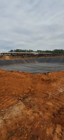 Geomembrana PEAD 0,8mm  Instalação. #geomembrana #lona #tik_tok #videoviral #videoviral #fyp #fy #gado #boi 