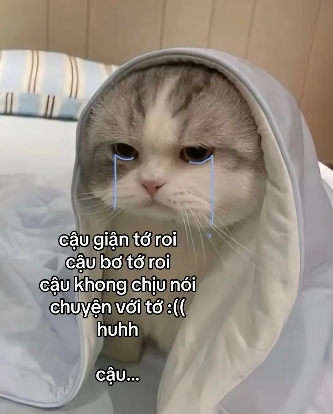 tớ xinloiii nhìu mòo :(( #foryou #xhtiktok 