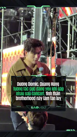 Mấy người này làm fan luỵ !!! #hautruongsukien #tiktokgiaitri #saovbiz #duongdomic #quanghungmasterd 