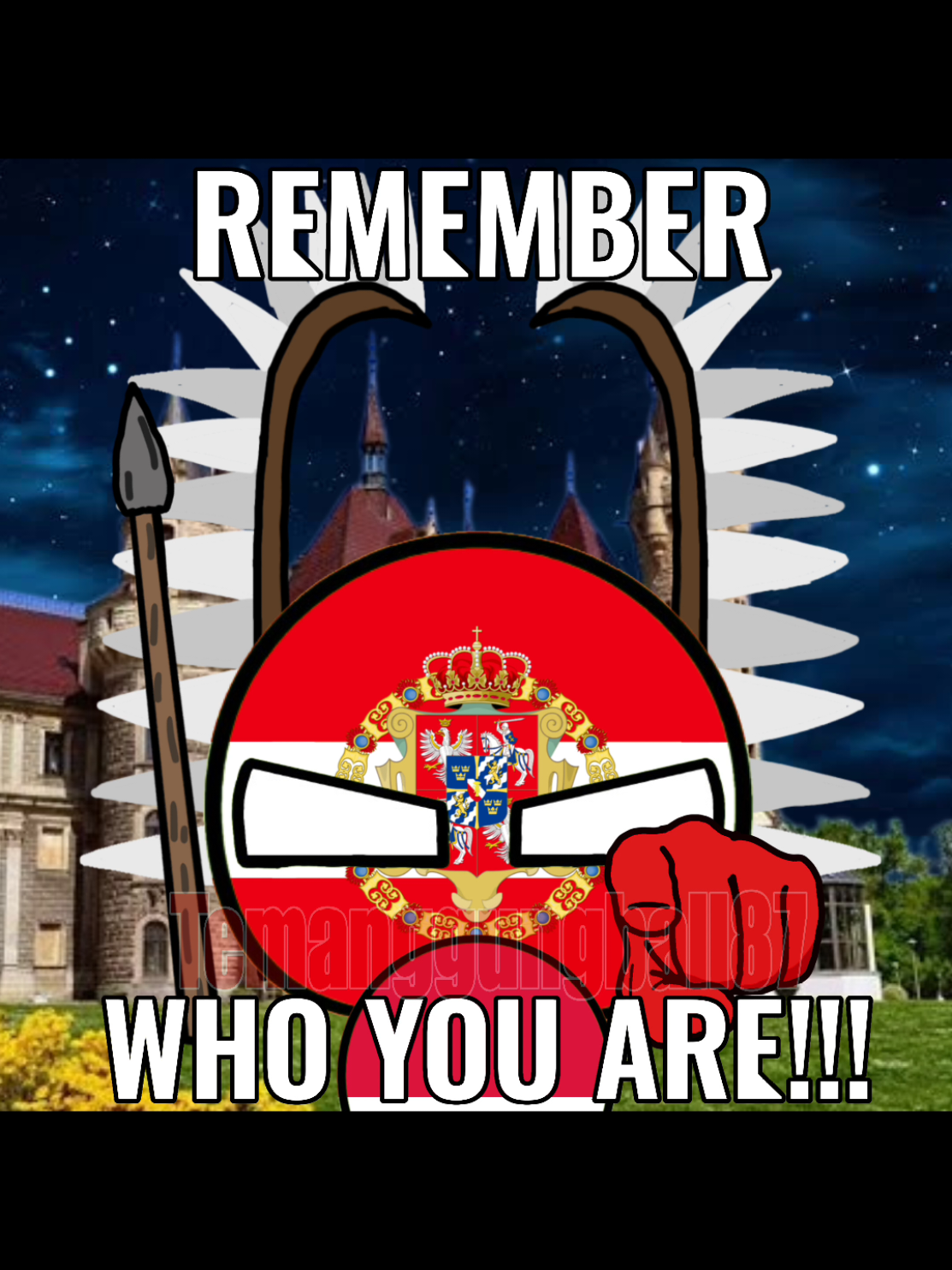 Remember who you are 🔥|#fyp #memes #countryballs #poland #russia #indonesia #japan #history 