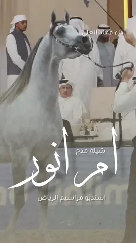 شيلة باسم ام انور 2025 شيلة مدح ام انور #شيلة_ام_انور #شيلة_باسم_ام_انور
