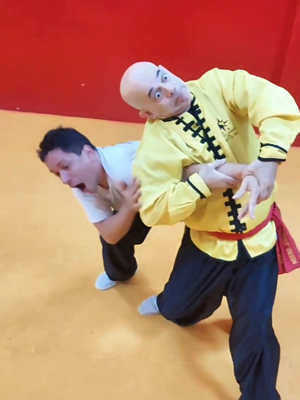 #tskf #kungfu #wushu #artemarcial #artesmarciais #defesapessoal #shaolin #chikung