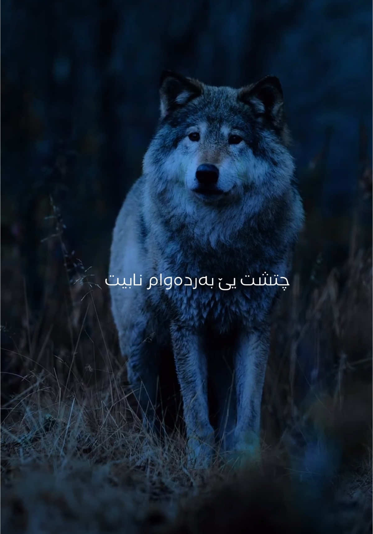 #duhok #zaxo #akre #amedi #hawler #دهوك_زاخو_سليماني_ئاكري_ئامیدی_هولیر 