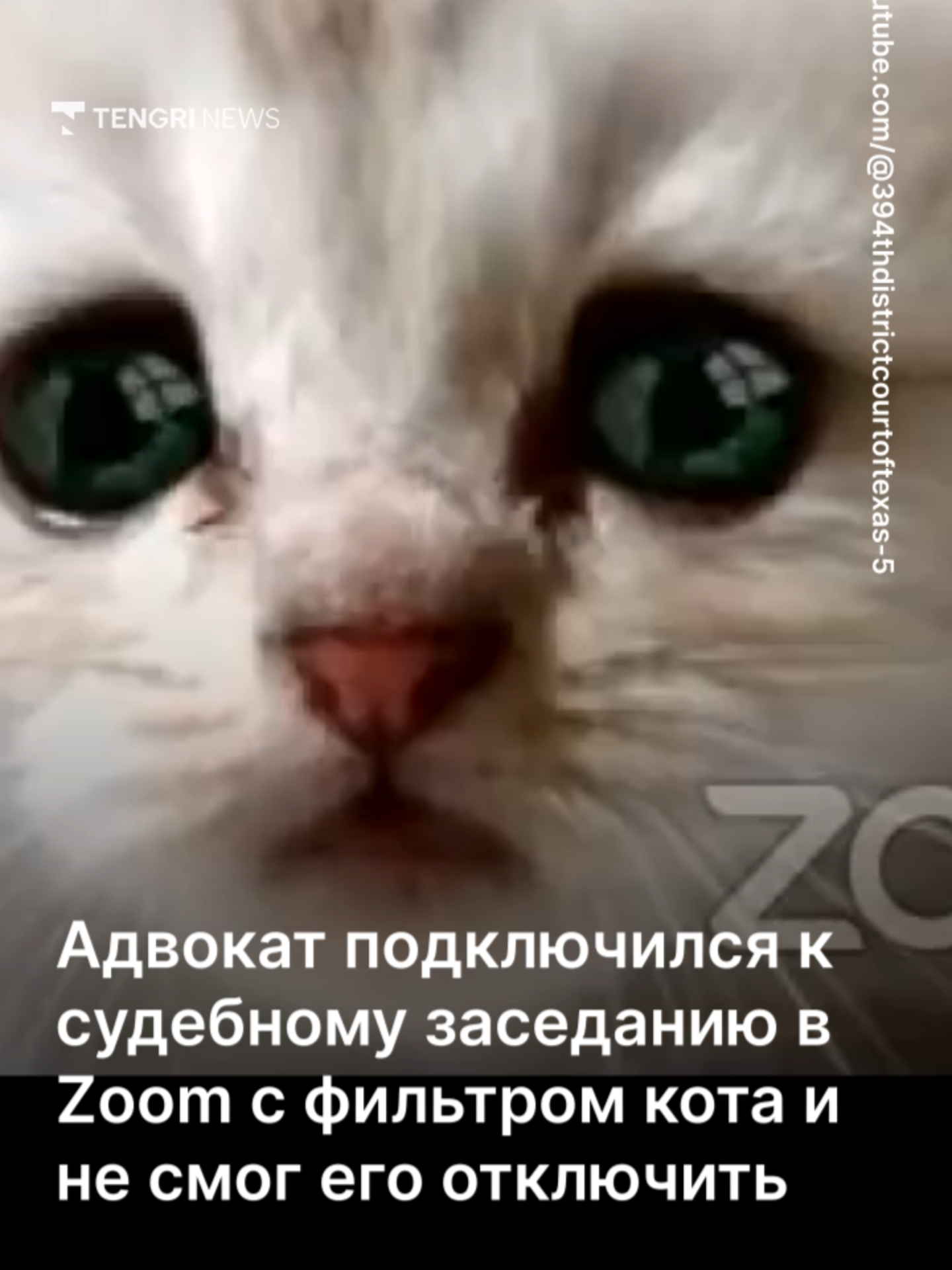 Адвокат появился на суде с мордой кота — Zoom не подвёл Очередной казус удалённой работы: адвокат из США не смог отключить фильтр в Zoom и участвовал в судебном заседании с лицом милого котика. Инцидент произошёл в Техасе во время онлайн-заседания. Судья Рой Фергюсон опубликовал фрагмент видео, где юрист Род Понтон случайно активировал анимированный фильтр. Пока коллеги пытались подсказать, как отключить эффект, он уверял:  «Я здесь, я не кот». Несмотря на усилия помощницы, фильтр сразу убрать не удалось, но судья всё же помог адвокату разобраться с настройками. После этого слушание продолжилось в обычном формате. Судья Фергюсон призвал участников судебных процессов заранее проверять настройки видеосвязи. А пользователи соцсетей в ответ пошутили: главное, чтобы в следующий раз кто-нибудь не включил лазерную указку.