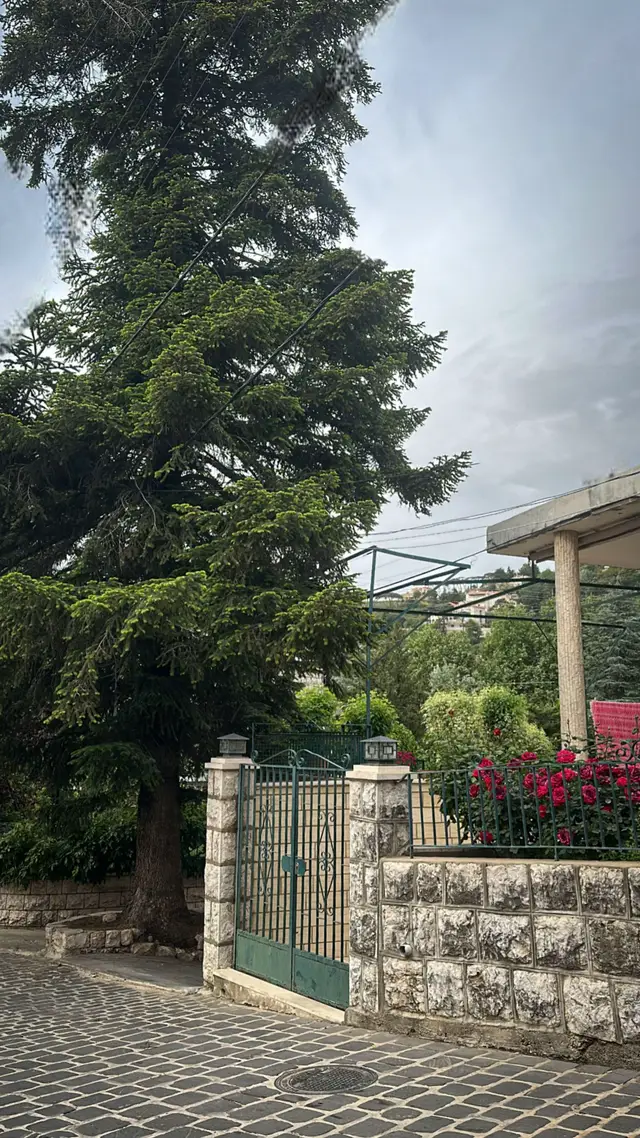 #fyp#lebanon#beirut#explore#explorepage#viral#hammana#walk#nature#summer2025