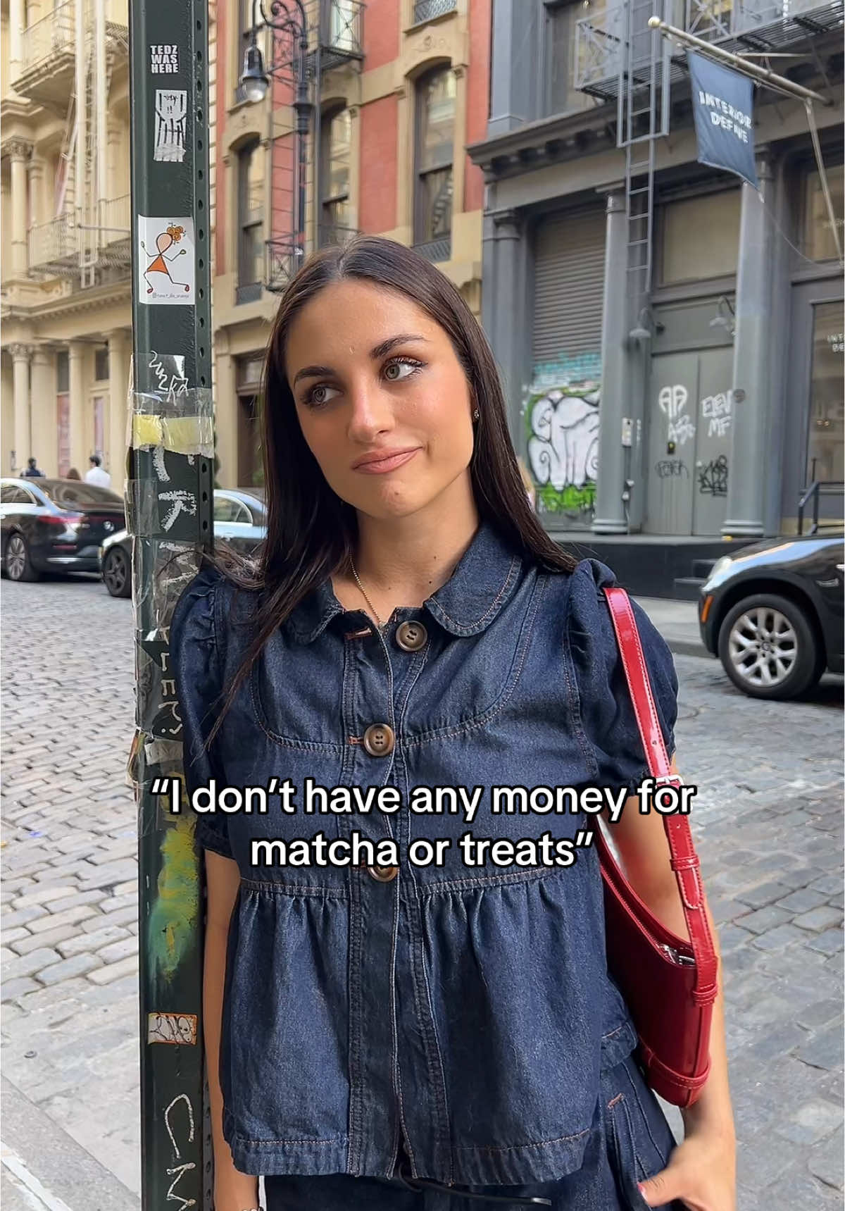 Outfit @Cider 🐾😂 #puppy #dog #shopcider 