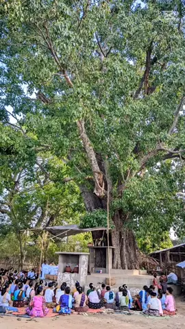 အိမ်ရှေ့‌ဗောဓိညောင်ပင်မှာစုပေါင်းကုသိုလ်ပြုလုပ် 🙏🙏🙏