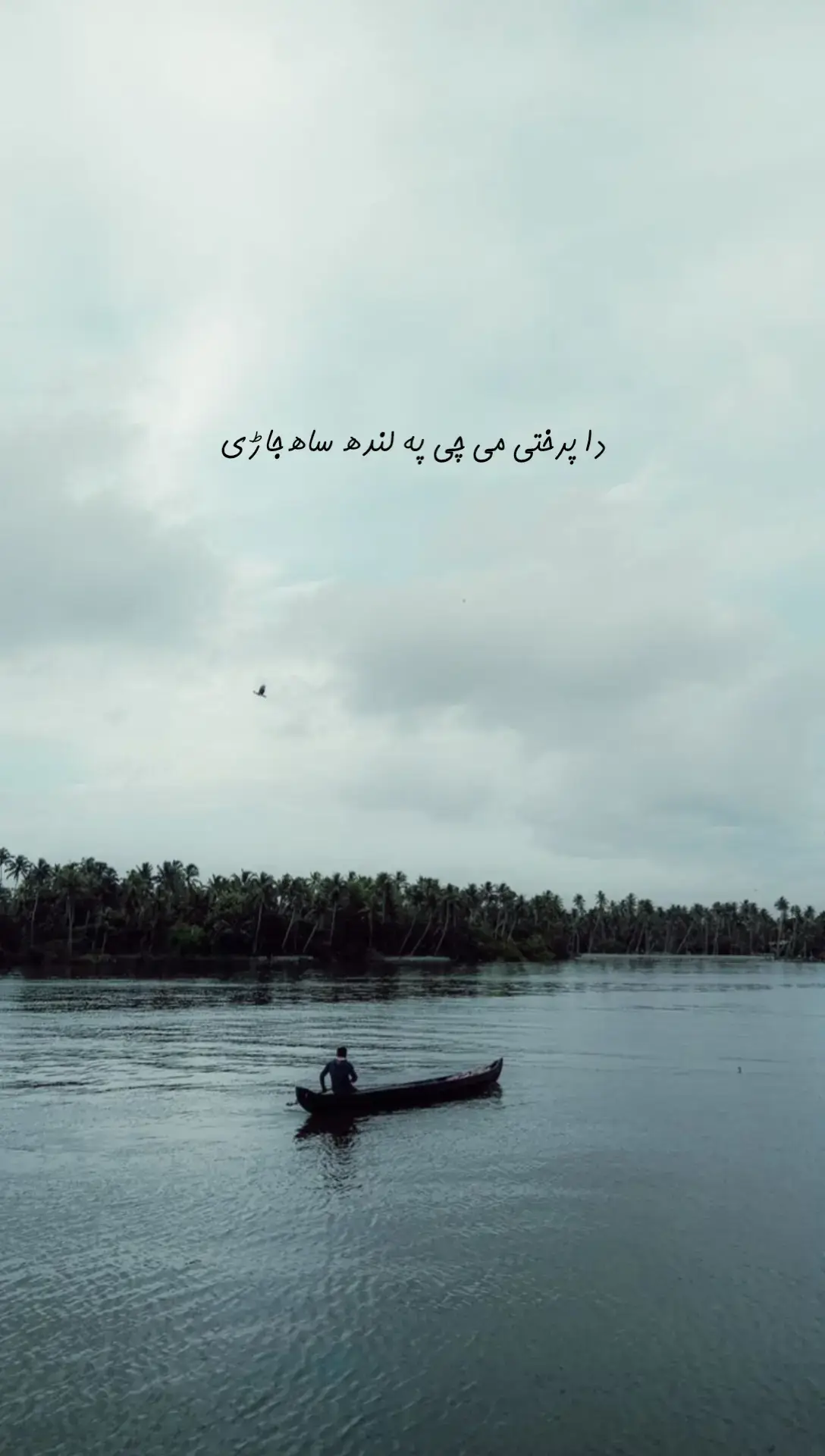 #foruyou #forupage #fyp #poshtopoetry @جانان 🫀 @🍂𝐊𝐇𝐀𝐍𝐗_𝐓𝐘𝐏𝐄𝐒𝐓🍁 