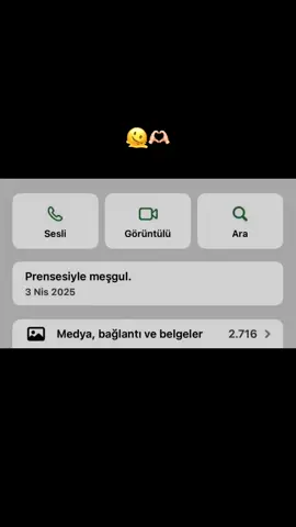 Prensesiyle meşgul.. 💅🫠🫶🏻 #siyahaasik1kadinn #fypp #wp #whatsapp #whatsapsözleri #bio #barışmanço #prenses #aşk #ilgi #değer #aşığım #seniçokseviyorumm 