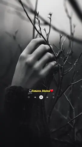 El perdedor - Enrique Iglesias 🥀💔🎧 #Elperdedor #EnriqueIglesias #letradecanciones      #rolitasparaestados #videosconletras #letradecanciones #romancemusical1  #romanticas1parati 