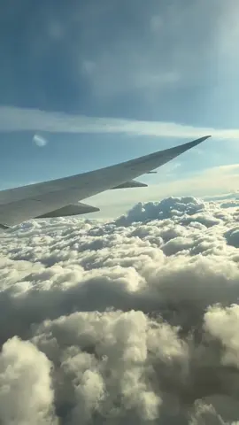 #creatorsearchinsights #tui #holiday #likе #sharethecare 