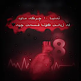 10 چرکە💔😍#mirayforyouu #foryoupage #foryou #fyp #actives? @SPEED 