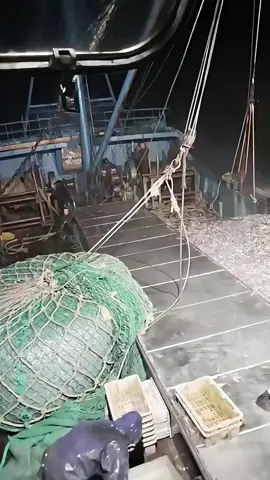 hard work#sea #ship #oceanwaves #ocean #oceano #oceanlife #underwater #shipper #waves #fishes #oceangate #seafood