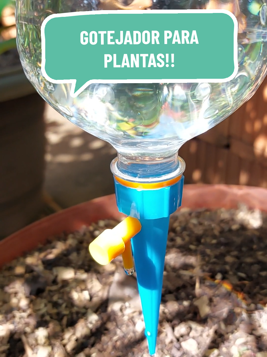 GOTEJADOR DE GARRAFA PET PARA FRUTÍFERAS EM VASOS INCRÍVEL!! #gotejador #irrigação #garrafapet #alexandremeuquintal 