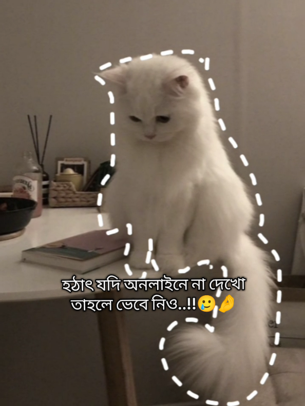 হ্যাঁ 😩💔🤌