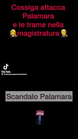 #neiperte #Cossiga #Palamara.