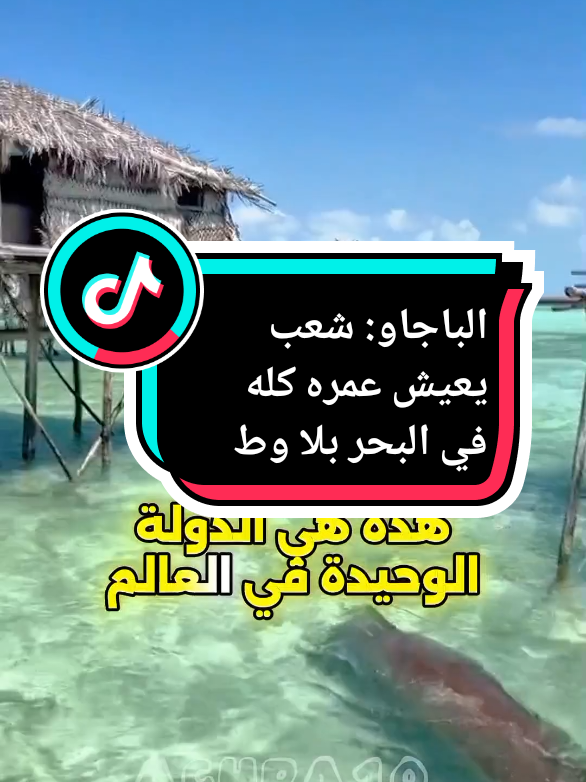 الباجاو: شعب يعيش عمره كله في البحر بلا وطن #الباجاو  #غجر_البحر  #شعوب_غريبة  #معلومة_غريبة  #البدو_الرحل  #ثقافات_حول_العالم  #العيش_في_البحر  #وثائقي  #اكتشف_العالم  #حقائق_مذهلة 