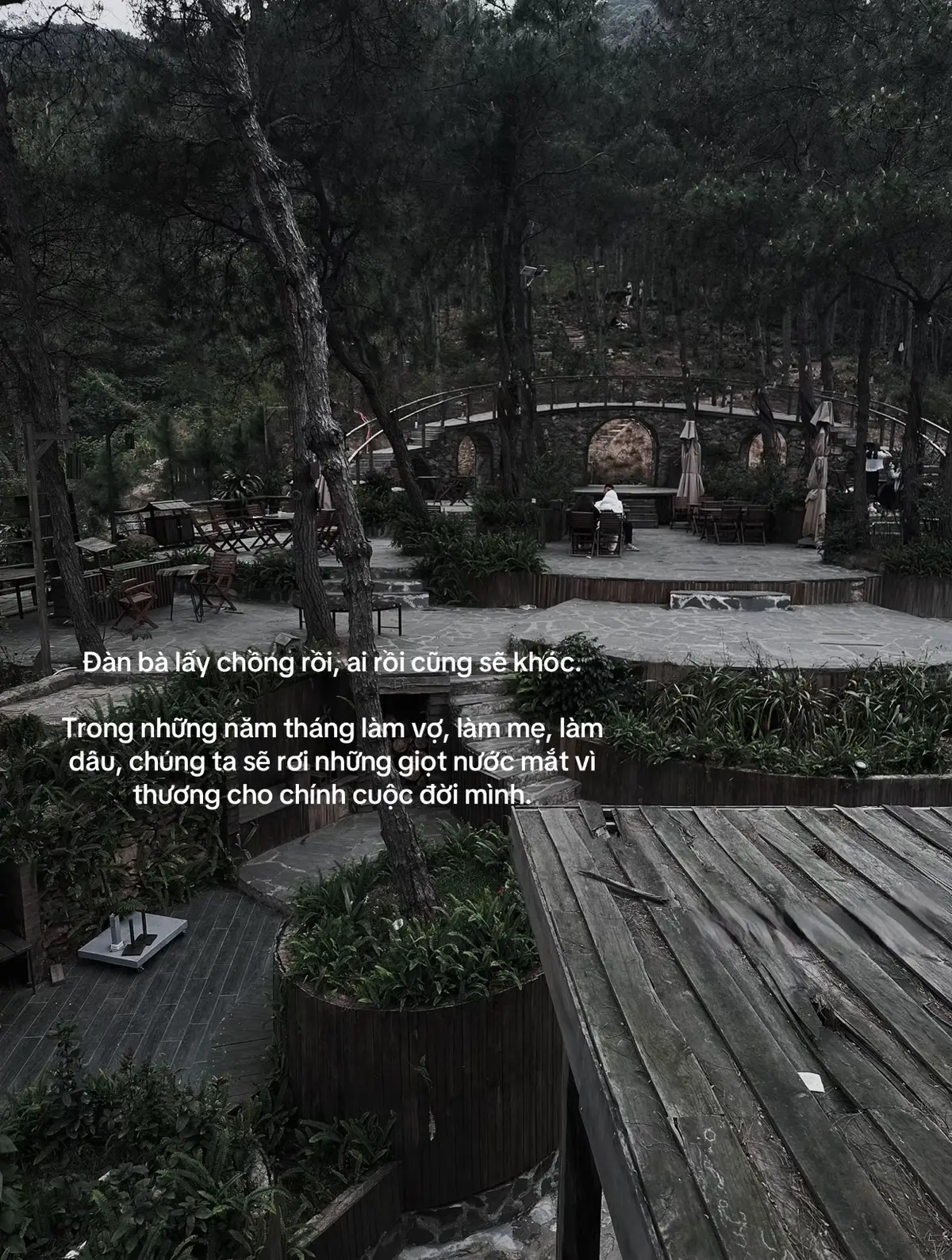 #fyp #7749hieuung #tamtrang #giadinh 