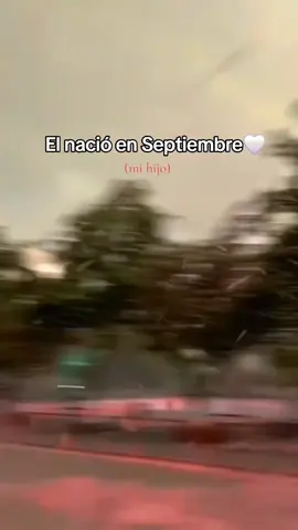 llegaste a mi vida 01/09/18 diste la bienvenida al mes del amor de la amistas mes de la primavera te amo mi abeyrito #septiembre #mesdelamorylaamistad #primavera #viral #paratii 