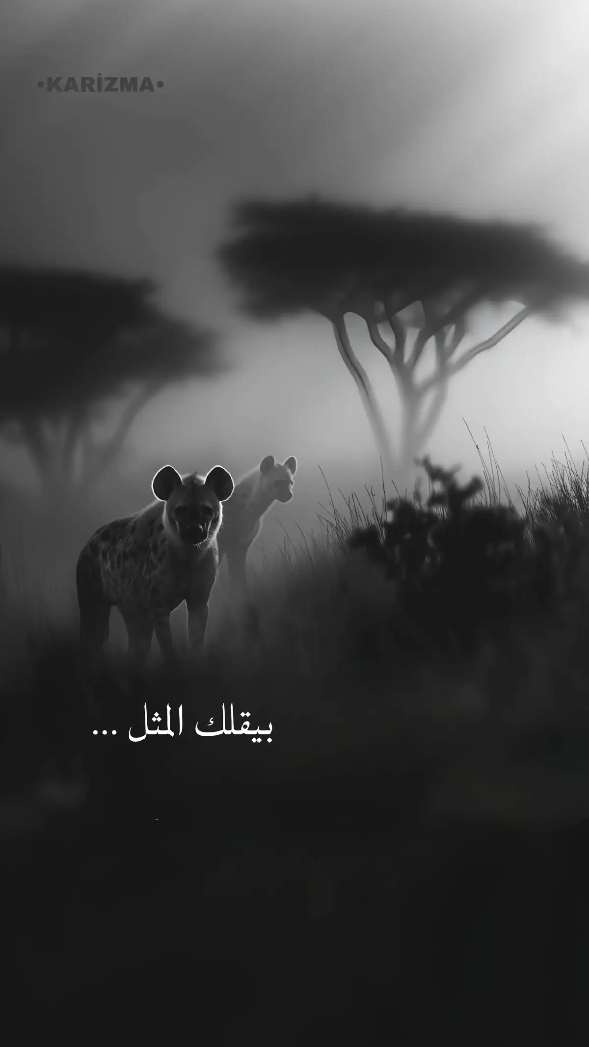 #اللهم_صل_وسلم_على_نبينا_محمد #استغفرالله #الحمدلله_دائماً_وابداً #سبحان_الله_وبحمده_سبحان_الله_العظيم #fypシ゚ #الشعب_الصيني_ماله_حل😂😂 #عباراتكم_الفخمه📿📌 #عبارات #foryoupage #امثال_شعبيه #انستا 