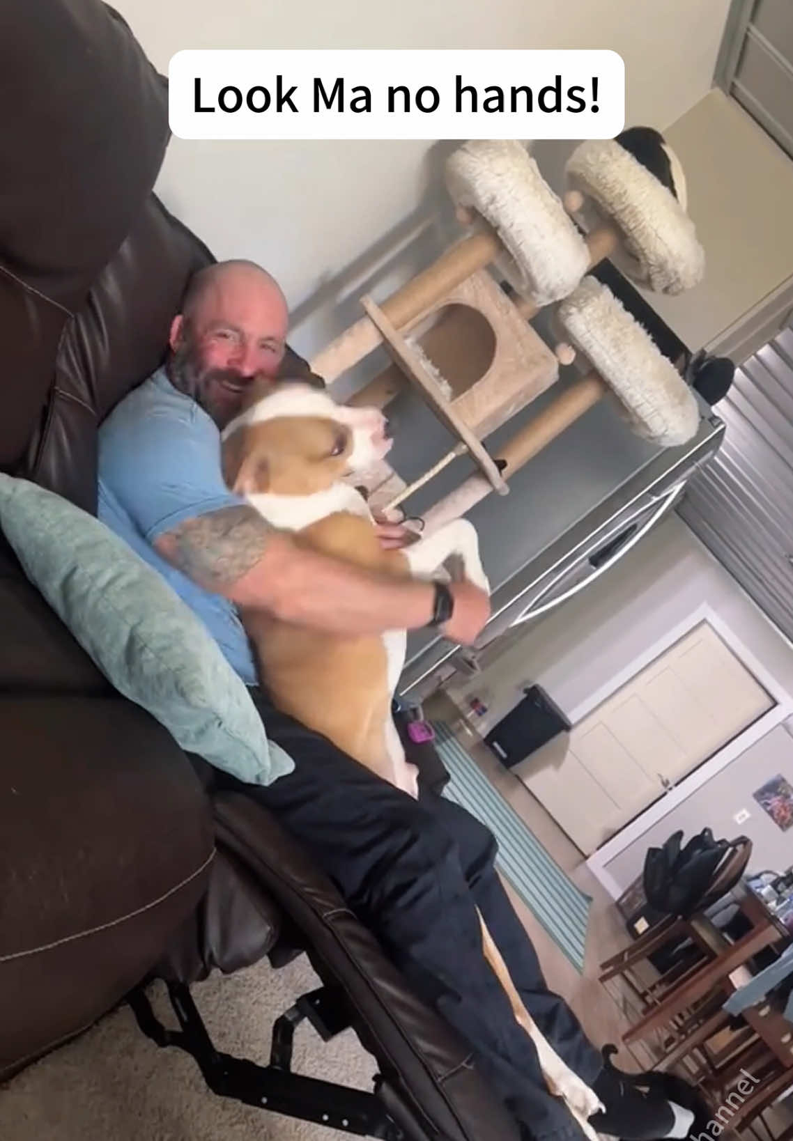 Full heartwarming dog and their owners❤️#dog #dogs #cutedog #funnydog #dogsoftiktok #doglover #fypシ #pet #petlover 