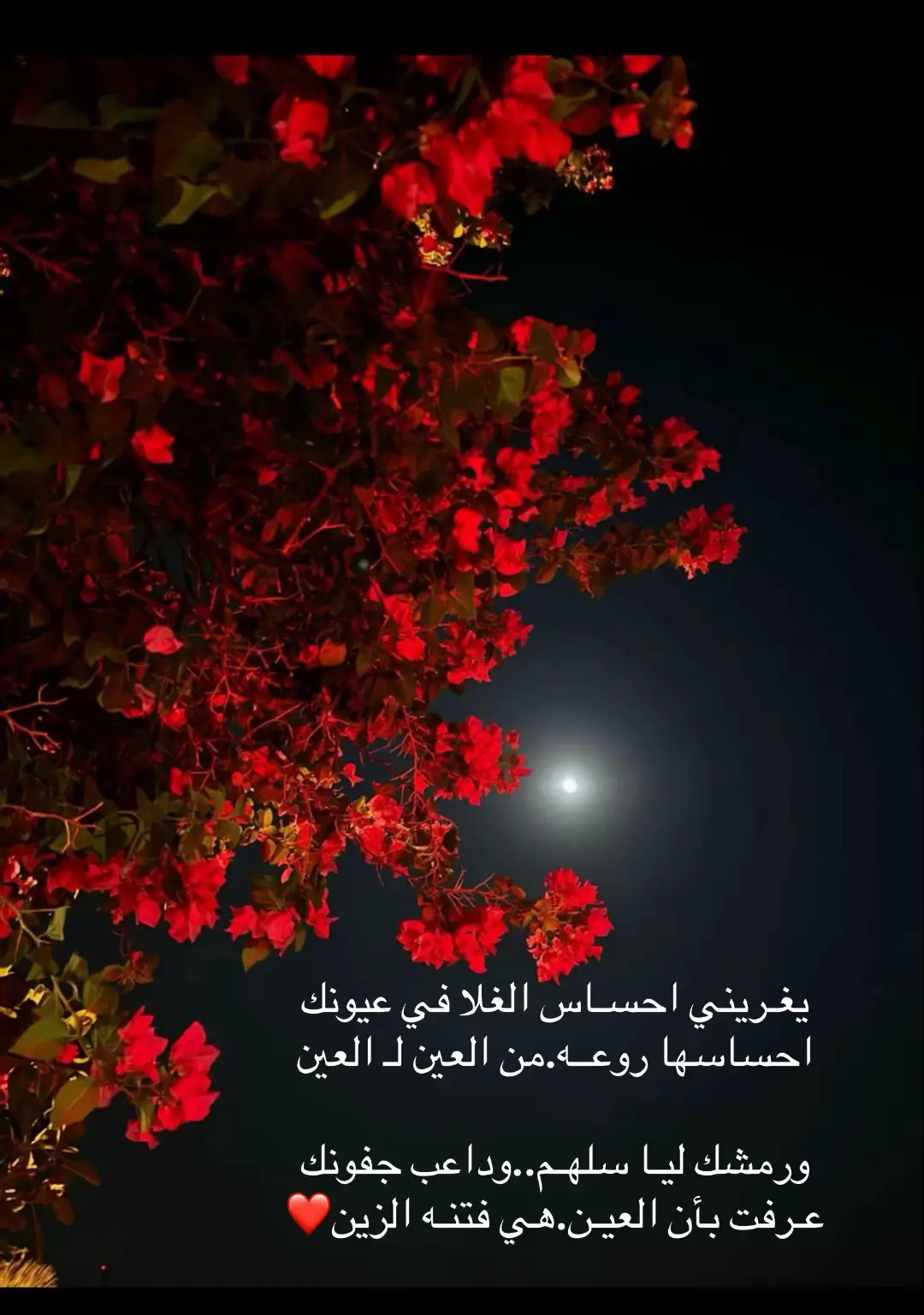 #اكسبلوررر 