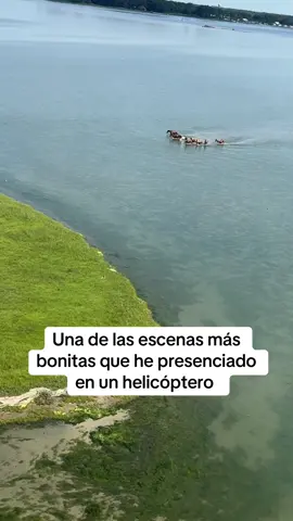 Parecía una película (vía @Jordan Jones 
