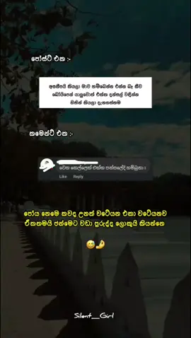 වෙසක් බූට් 😓😂🤌Repost කරම්න ලමයි | part 16 #silent_girl #trending #srilanka #1millionaudition #hintgirl #fyp #හින්ට්වදන් #forgirls @දිමූ_🍄 @𝐜𝐡𝐚𝐦𝐮 𝐛𝐚𝐞 < 💗 @𝐇𝐚𝐬𝐚𝐚 🧚‍♀️💗 @SaDh_y ᡣ𐭩 @Nethu 🖇️ @Boby'🫀 
