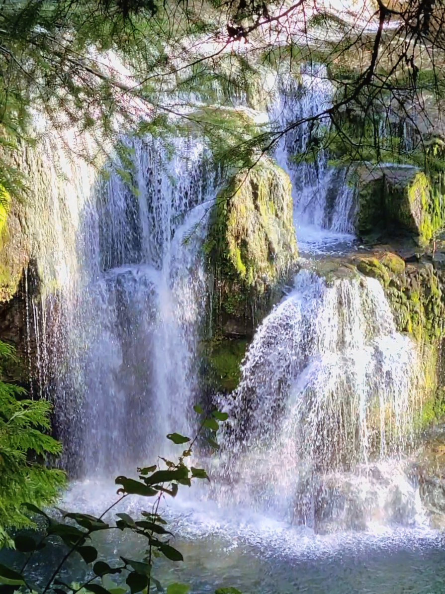 Enjoy this beautiful view of nature #nature #beautifulview #beautifulnature #waterfall 