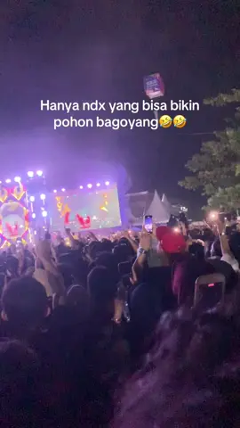 Ngeri orang yang di atas pohon😂#ndxaka #konserndxaka #palu #sulteng #sulteng_palu 