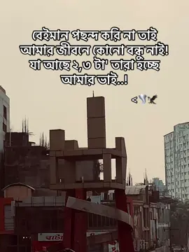 বেইমান পছন্দ করি না তাই আমার জীবনে কোনো বন্ধু নাই! যা আছে ২,৩ টা' তারা হচ্ছে আমার ভাই..!<🌪️🦅#tanvirahmed_ome 