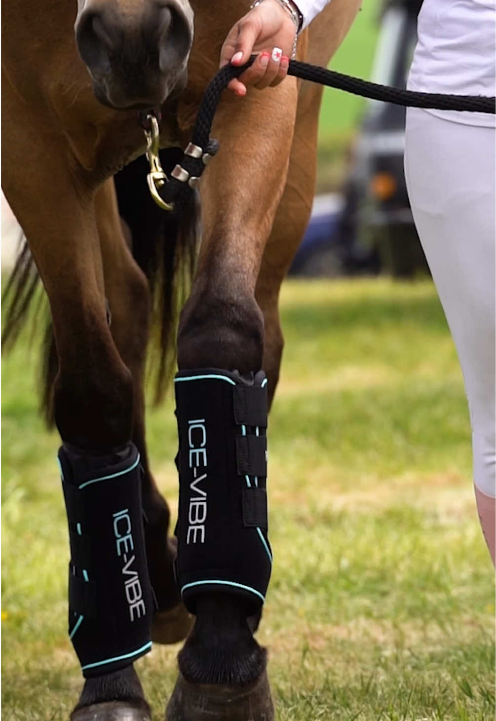 A massive congratulations to Horseware Ambassador @emd_eventing and the amazing Addie on completing Badminton Grassroots! To get to Badminton is a true reflection of their dedication, passion, and the powerful partnership they've built — all coming together in a truly standout performance from start to finish👏🐎   🎙️ Listen to what Emily has to say after an unforgettable week!   Spotted in action: NEW Horseware Rider Apparel, NEW & improved Ice Vibes (coming soon 👀), Horseware Signature Sport Cooler, Horseware Newmarket Cooler (😍😍)   #iwearHorseware #badmintongrassroots #eventing #grassroots #horses #equestrian #foryou #fyp #horsesoftiktok #crosscountry #threedayeventing