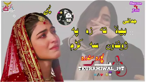 پورہ سندرہ درسرہ شیر کوم #please #tiktok #team #viral #myvideo #please #tiktok #unfrezzy #myaccount 