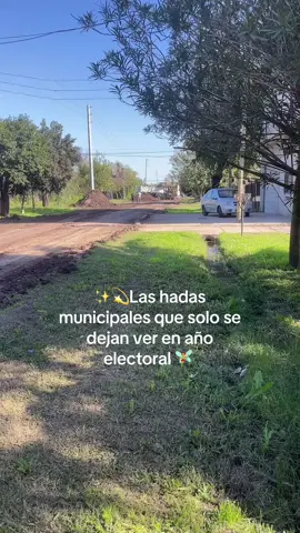 Las hadas municipales de moreno 😂