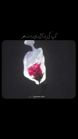Apki Yaad ati rahi raat bher❤️‍🩹✨ #UrduPoetry #UrduShayari #Shayari #UrduLiterature #PoetryInUrdu #UrduCouplets #Shers #Nazm #Ghazal #UrduGhazal #PoetryLovers #UrduPoetryLovers #ShayariLovers #UrduShayariLovers #Love #Foryou #Viral #Viral #fyp #instagram #facebook #poetophile_raees 
